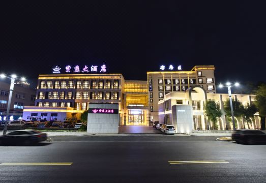 平阳紫京大酒店