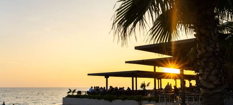 帕洛玛奥伦达(Paloma Orenda)图片