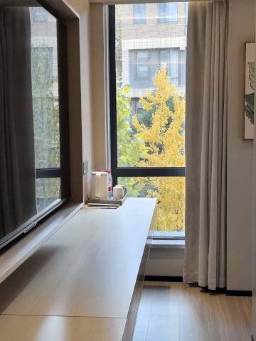 武汉二妃山庄湖畔花园酒店(光谷生物城科技会展中心店)图片