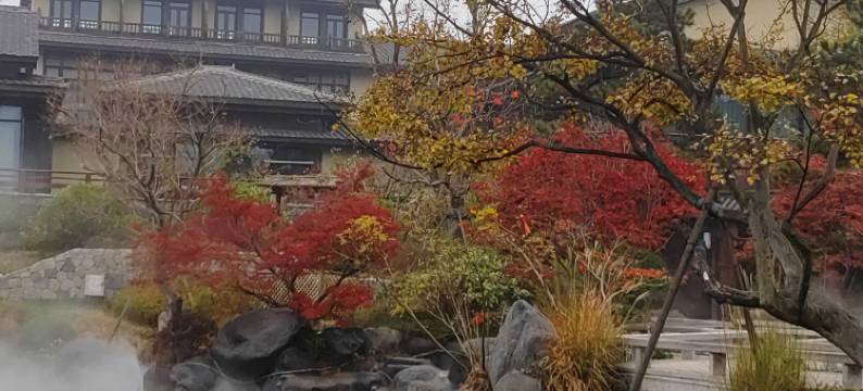 藏马山·云茗山庄图片