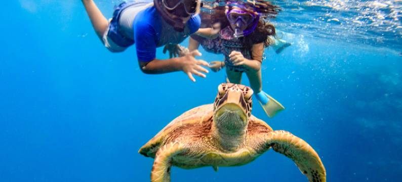 拉罗通加海滩度假村与泻湖水族馆(The Rarotongan Beach Resort & Lagoonarium)图片