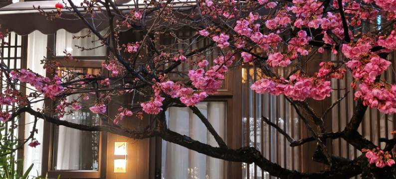 丽江迷涂客栈(丽江古城忠义市场店)图片