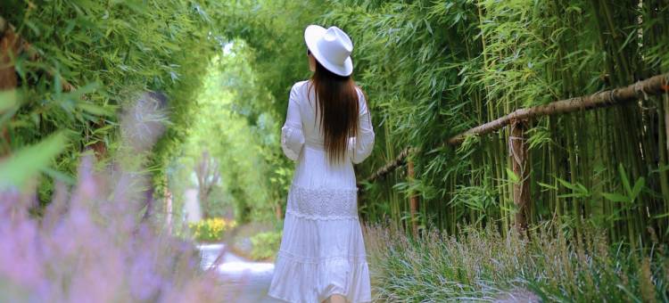 丽江金林豪生大酒店(古城区店)图片