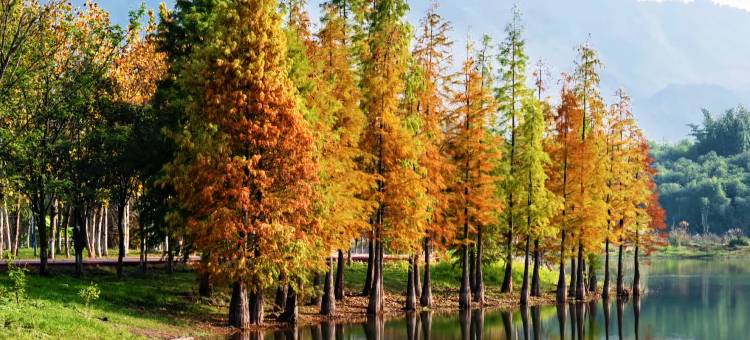 重庆家愉美宾馆图片