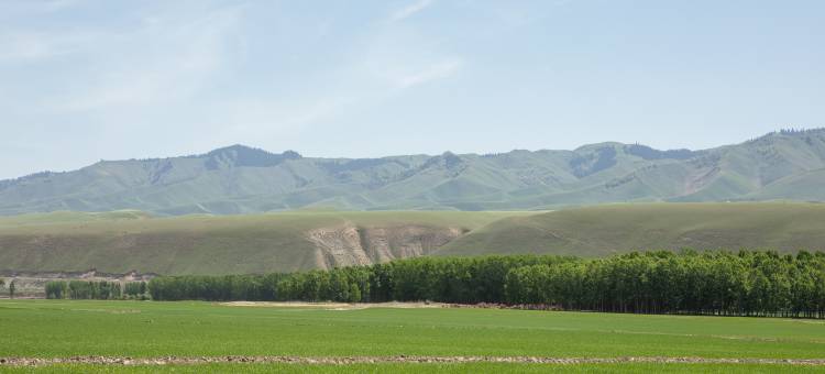 探索秘境·乡野村落(特克斯店)图片