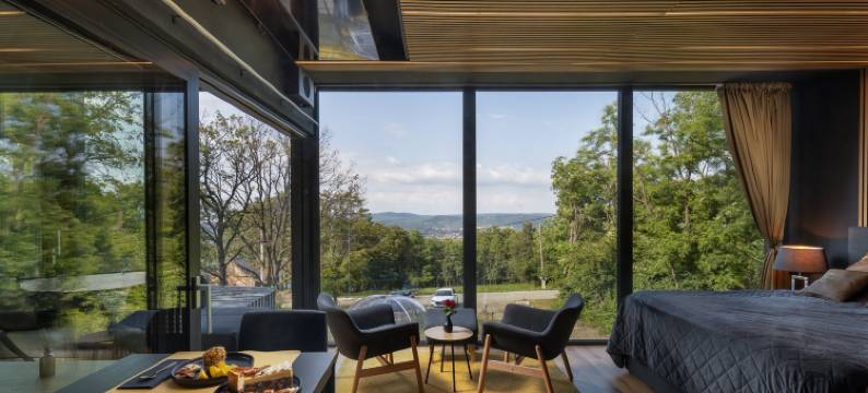 ForRest luxury relax in the forest, view of Danube图片