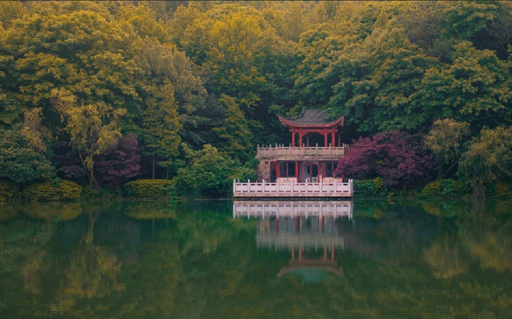 长沙国金中心异国印象酒店图片