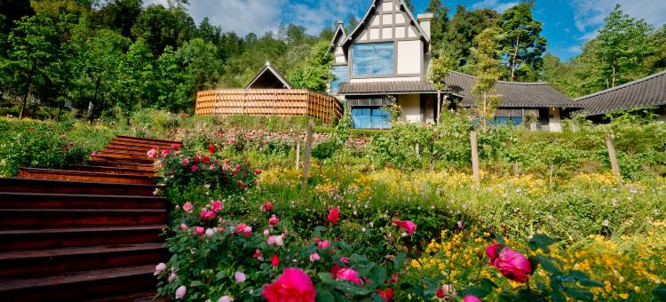 雅安十里芳菲·野玫瑰温泉村落图片