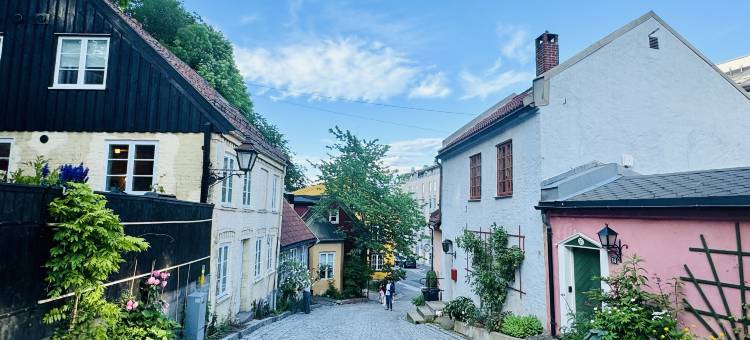 DISCOUNTED Apartment in Oslo City图片