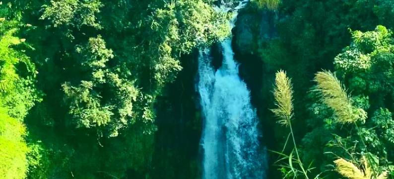 腾冲茶博园温泉酒店图片