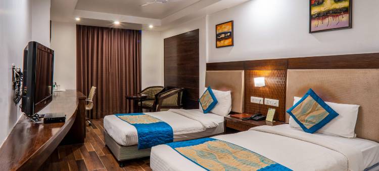 德里帕哈甘吉国王酒店(Hotel le Roi Near New Delhi Railway Station)图片