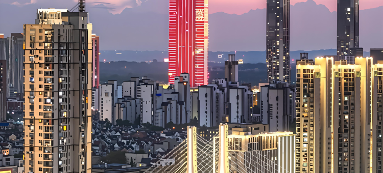 瑞贝庭Suisse Place国际大酒店(芜湖中山路步行街芜湖站店)图片