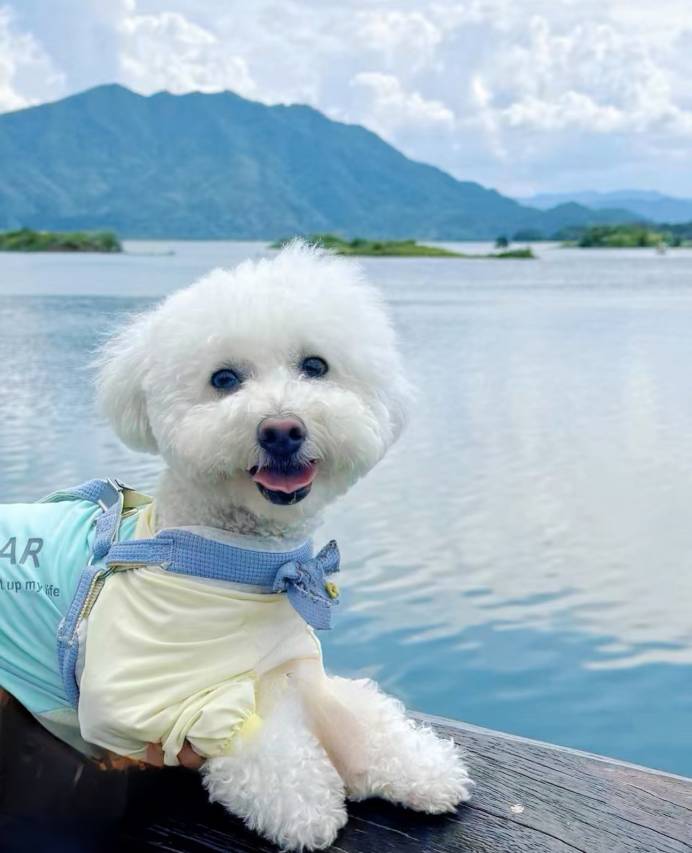 花筑·千岛湖芷庐度假民宿图片