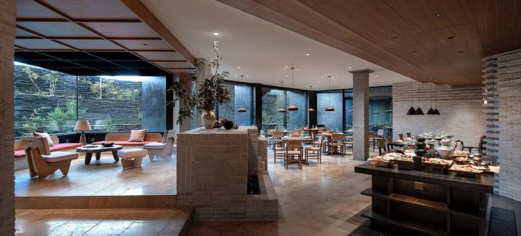 大乐之野(德钦梅里雪山店)图片