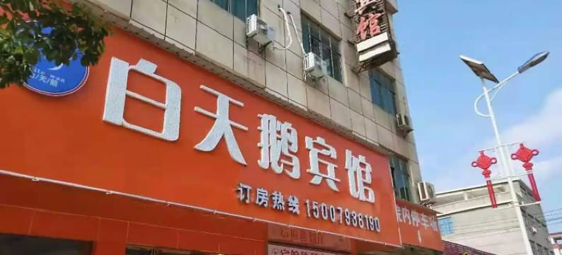 白天鹅宾馆图片