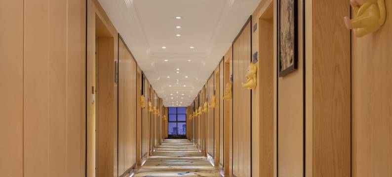 高空观景猴子酒店(贵阳观山湖奥体匹克体育中心店)图片