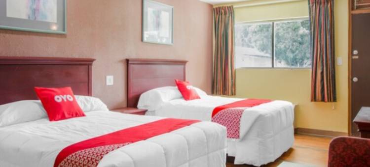 OYO 巴托精品经济酒店(OYO Superior Budget Inn Bartow)图片