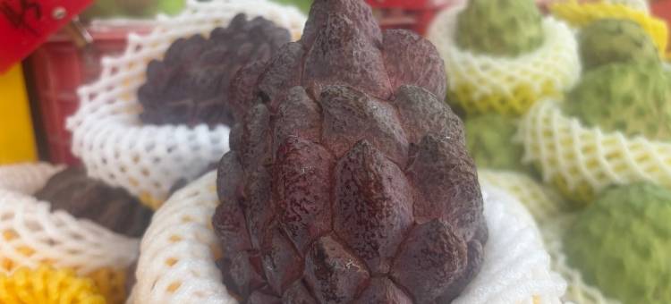 锦江之星酒店(陵水清水湾店)图片