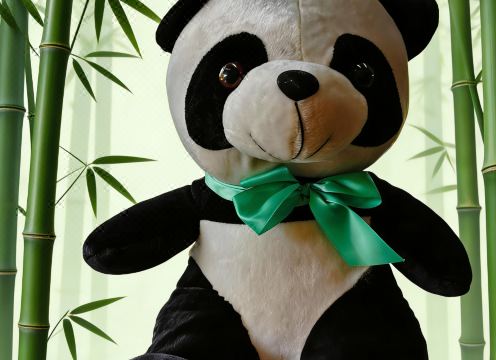 Xinyixing Hotel (Chengdu Tianfu International Airport) Hotel Overview