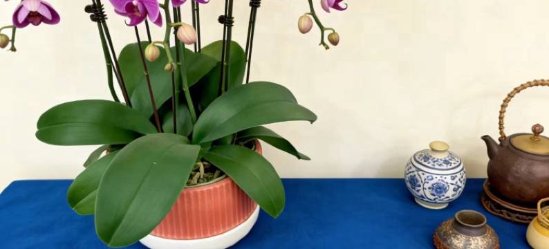 亚悦酒店(东莞寮步汽车城篮球中心店)图片