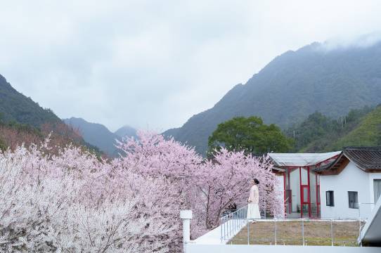 三清山望三清艺术聚落图片