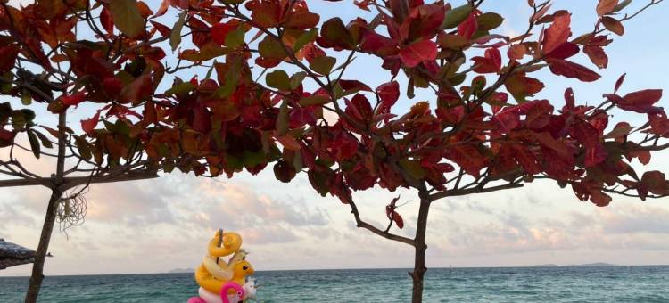 格兰岛拉瑞纳度假酒店(Lareena Resort Koh Larn Pattaya)图片