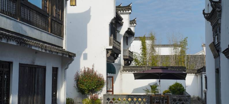 杭州千岛湖古雨·花涧堂图片