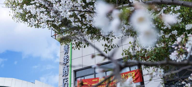 青季酒店MINI(上海交大江川路地铁站店)图片