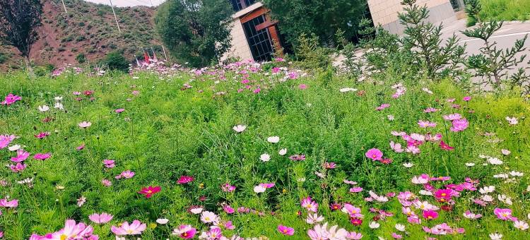 昌都若巴温泉大酒店图片