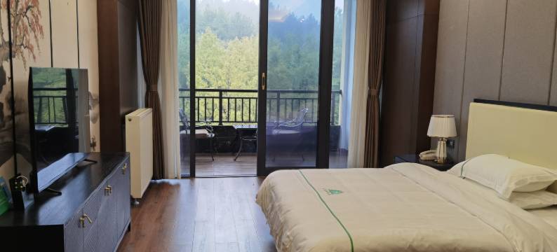 苍溪三溪口酒店图片