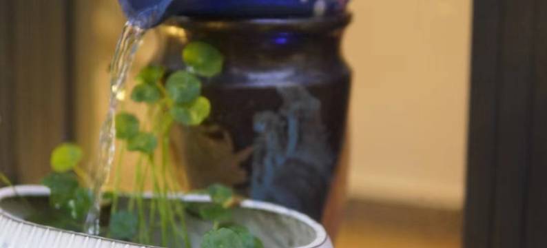 哪里那里海岸精品客栈(三亚大东海店)图片