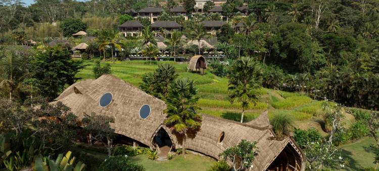 曼答帕丽思卡尔顿隐世酒店(Mandapa, a Ritz-Carlton Reserve)图片