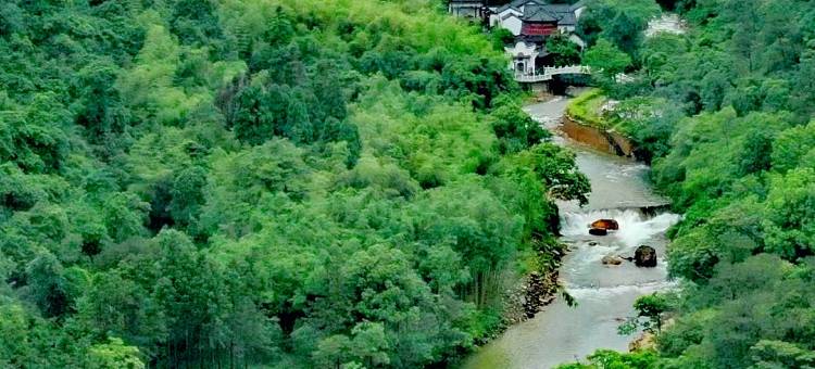 姑婆山三姐故事森林温泉旅修疗愈度假酒店图片