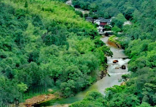 Gupo Mountain Third Sister Story Forest Hot Spring Travel Healing Resort Hotel Hotel Overview