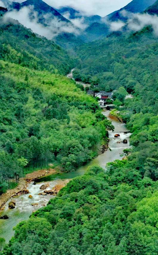 姑婆山三姐故事森林温泉旅修疗愈度假酒店图片