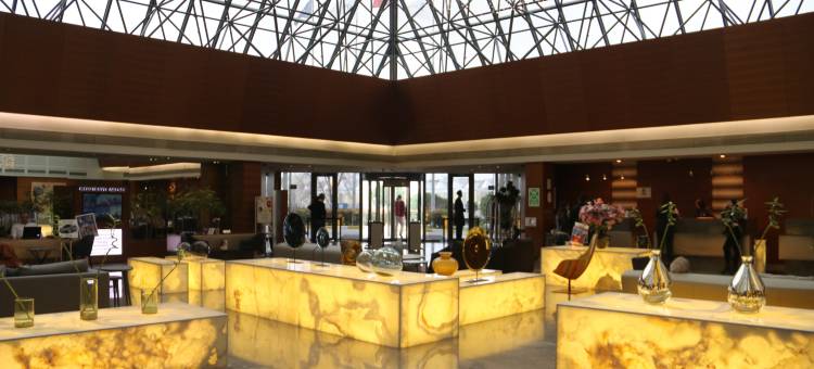 伊斯坦布尔阿塔科尤喜来登酒店(Sheraton Istanbul Atakoy Hotel)图片
