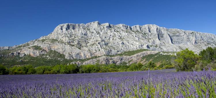 康铂自然 - 普罗旺斯地区艾克斯梅鲁伊(Campanile Nature - Aix En Provence Meyreuil)图片