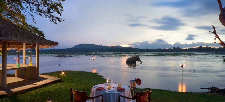 辛纳蒙·哈伯瑞纳度假村(Habarana Village by Cinnamon)图片