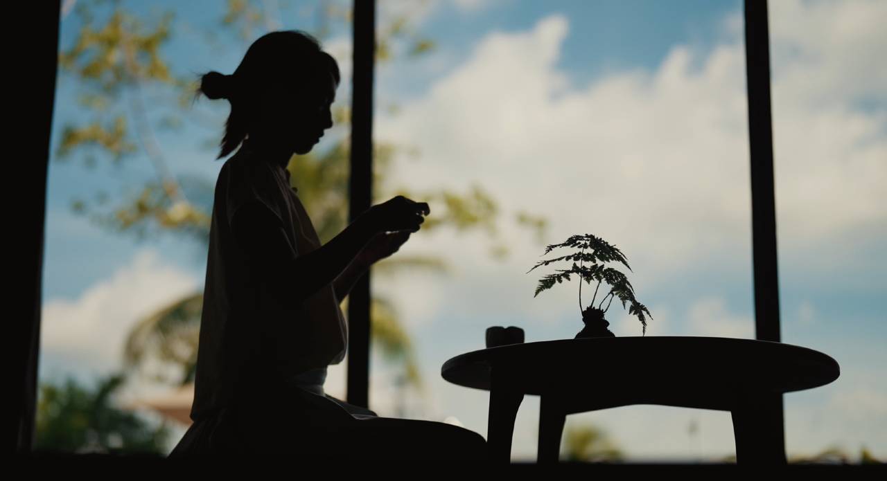 山海梧桐民宿(亚龙湾太阳湾路店)图片