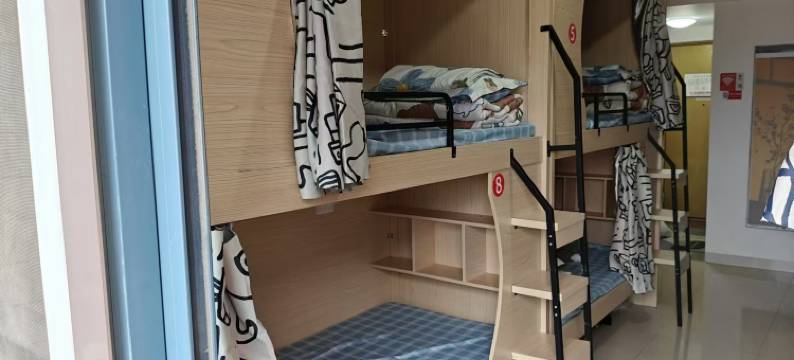 星期天青年旅舍图片