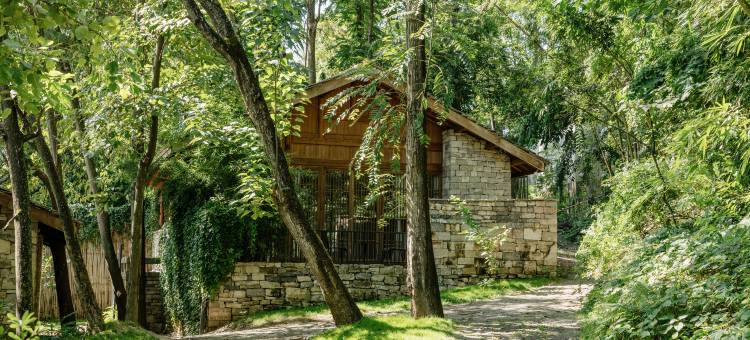 黄果树匠庐·村晓图片