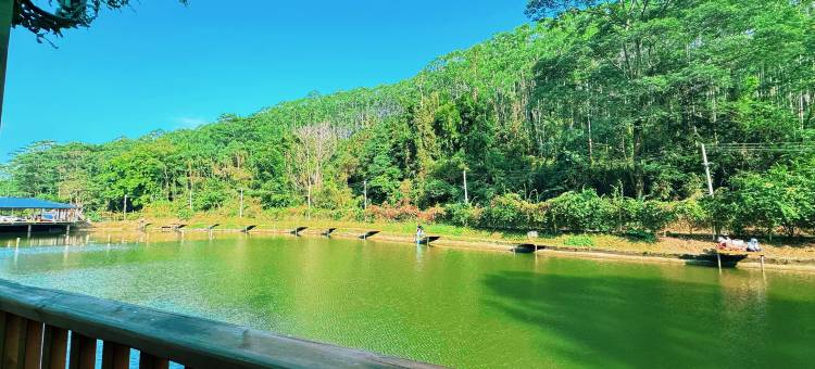 沐阳湖山墅度假山庄图片