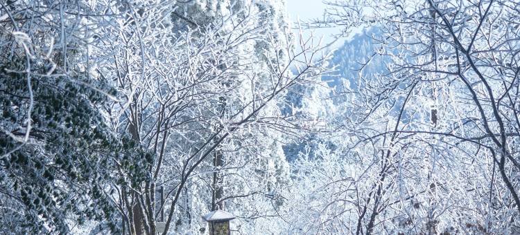 新昌天姥山天姥隐酒店图片