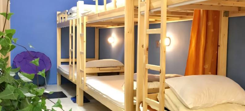 云游青年公寓图片