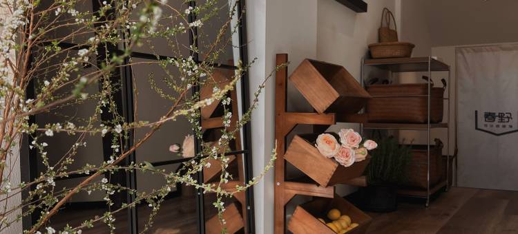 春野设计师民宿(蓝眼泪店)图片
