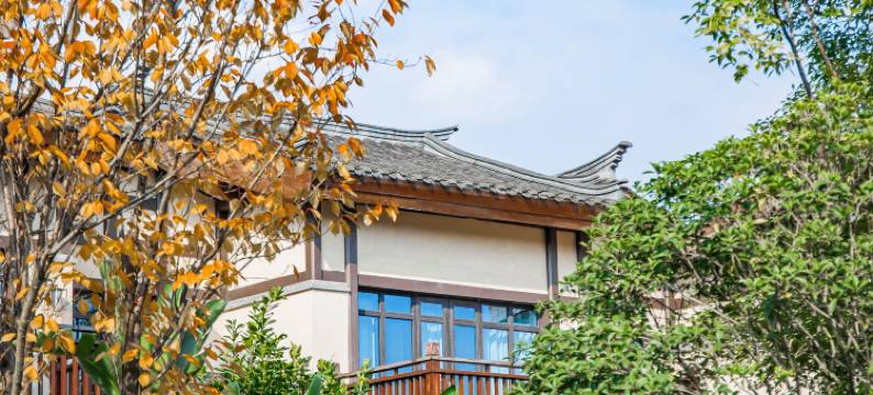 成都青城宋品酒店图片