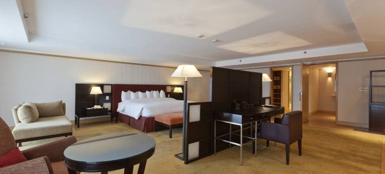 布宜诺斯艾利斯希尔顿酒店(Hilton Buenos Aires)图片