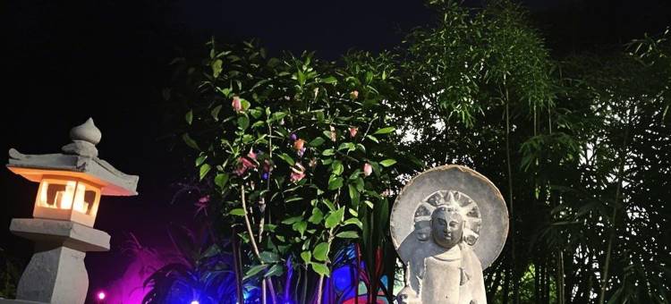 花筑奢·横店心邸民宿(影视城秦王宫梦幻谷店)图片