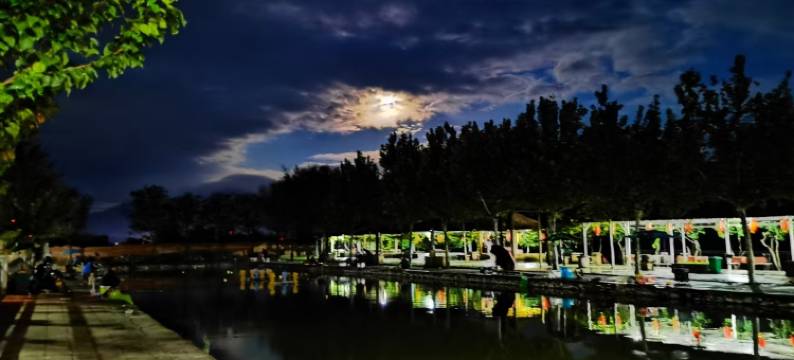 中都渔村民宿图片