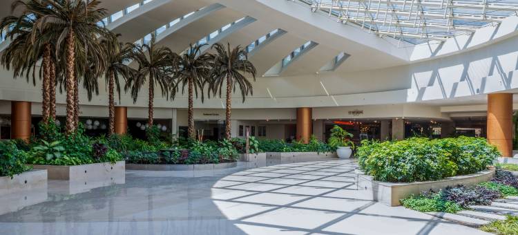 开罗赫利奥波利斯希尔顿酒店(Hilton Cairo Heliopolis Hotel)图片